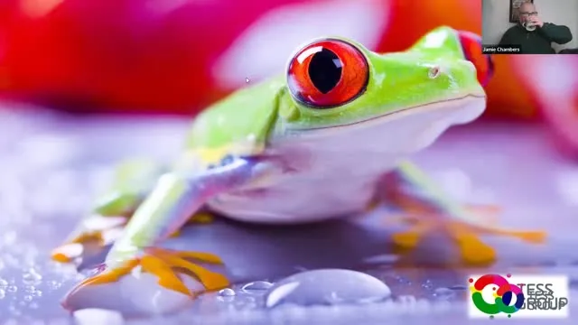 The Boiling Frog, TESS coaching clip